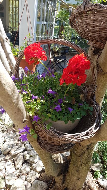 Holiday House Altea Banjole Exterior foto